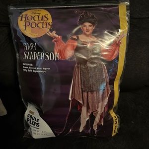 Mary Sanderson costume